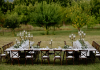 Chiavari Chairs from Yumeya Furniture