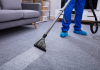 Carpet Cleaner For Room