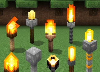 Different Types of Torches in Minecraft