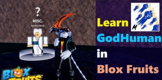 god human in blox fruits