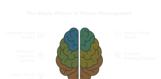 The Ripple Effects of Dream Management