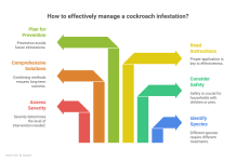 How to effectively manage a cockroach infestation?