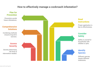 How to Get Rid of Cockroaches: Complete 2025 Guide How to effectively manage a cockroach infestation?