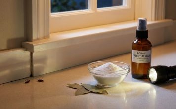 How to Get Rid of Roaches Overnight